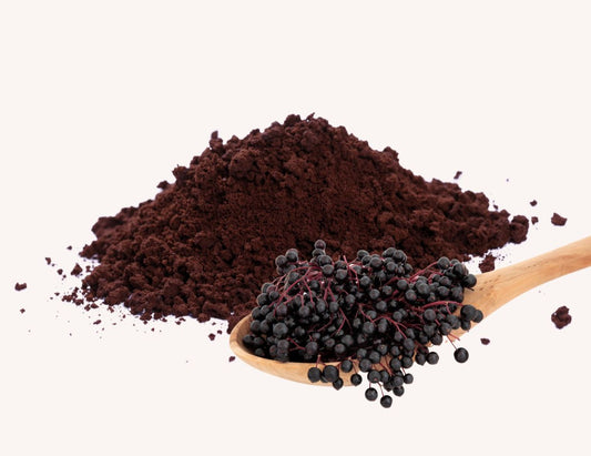 Elderberry Powder  (Wild Crafted)  Sambucus Nigra