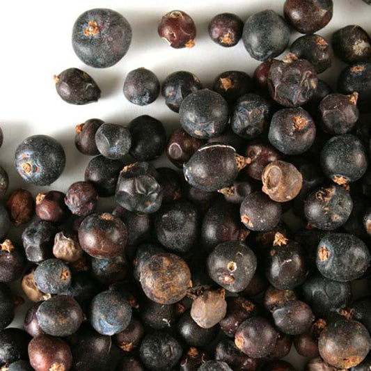 Juniper Berries Whole Organic